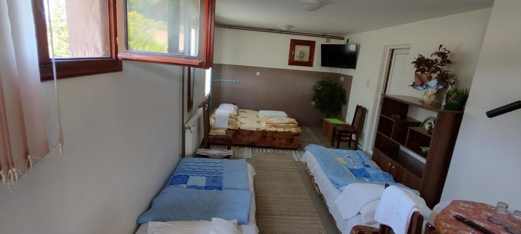 Guesthouse Tadic Guca Exterior photo