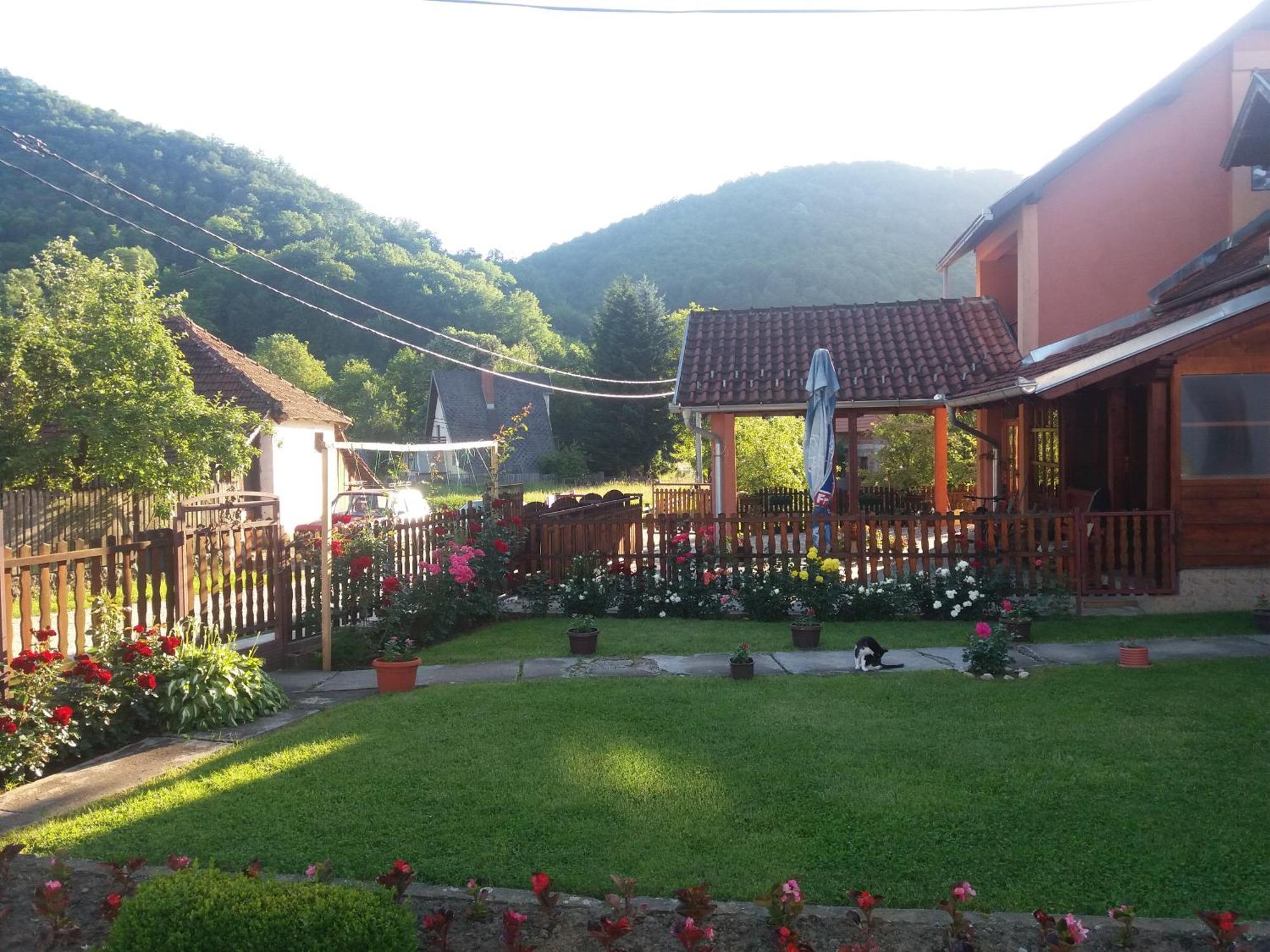 Guesthouse Tadic Guca Exterior photo