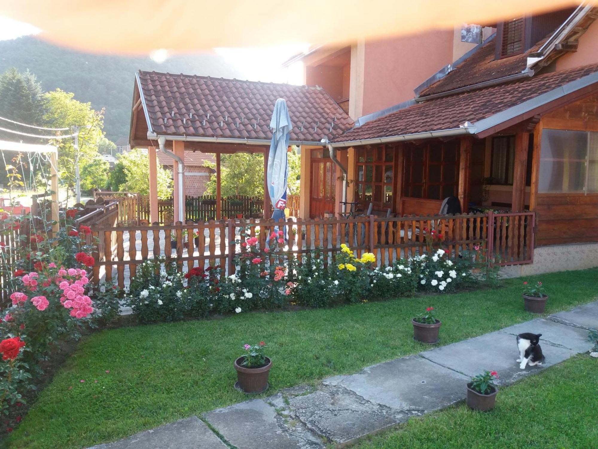 Guesthouse Tadic Guca Exterior photo